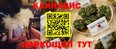 сатива Боровичи