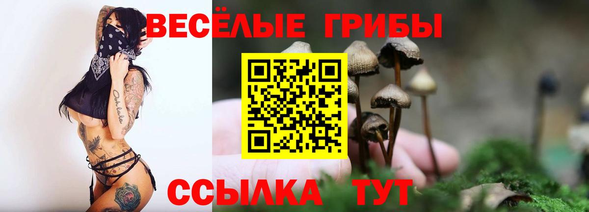 Звенигород  Галлюциногенные грибы мухоморы  Вход с VPN 